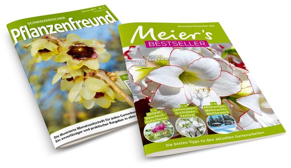 The first «Schweizer Pflanzenfreund» of the anniversary team and the current issue of the «Meier-Bestseller».